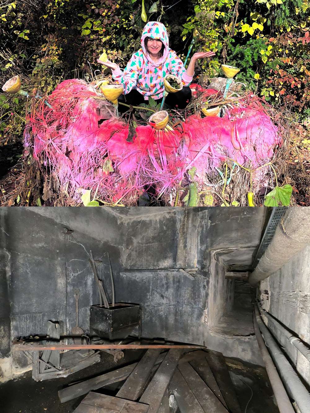 Renate Liebel, Renate Maucher, ›Unordnung‹