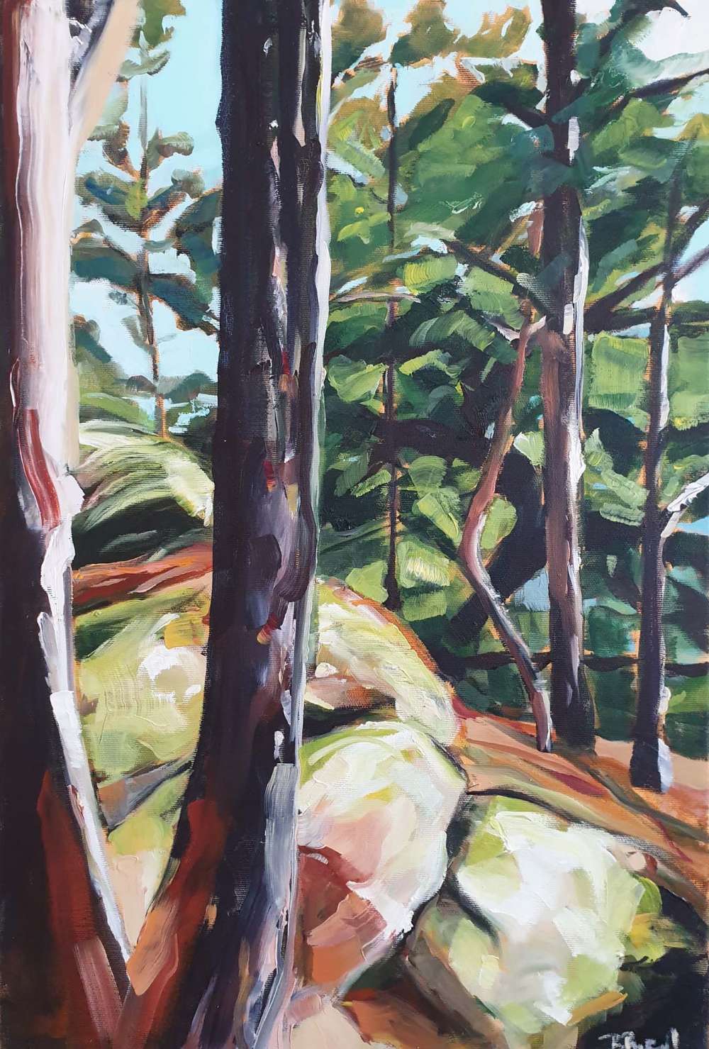 Silva Nigra – Die Farben des Waldes